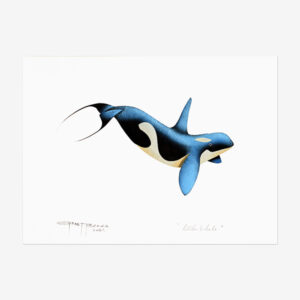 Original Killerwhale Painting by Plains Cree Native Artist Garnet Tobacco